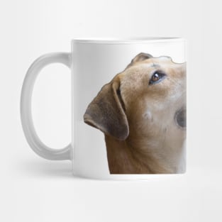 i love dog Mug